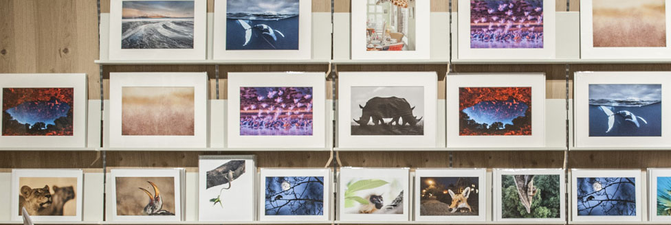 Prints Prints