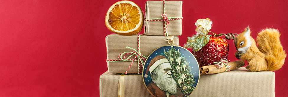 Christmas Christmas