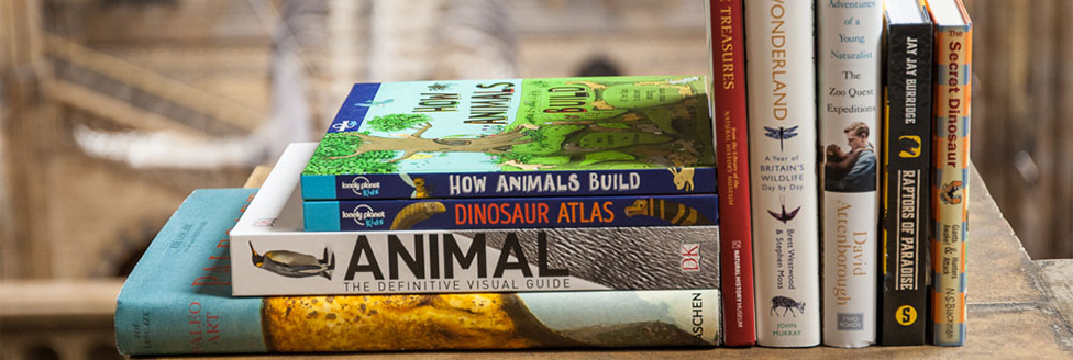 Books Books