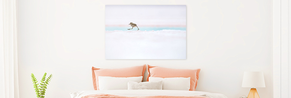 Prints Prints