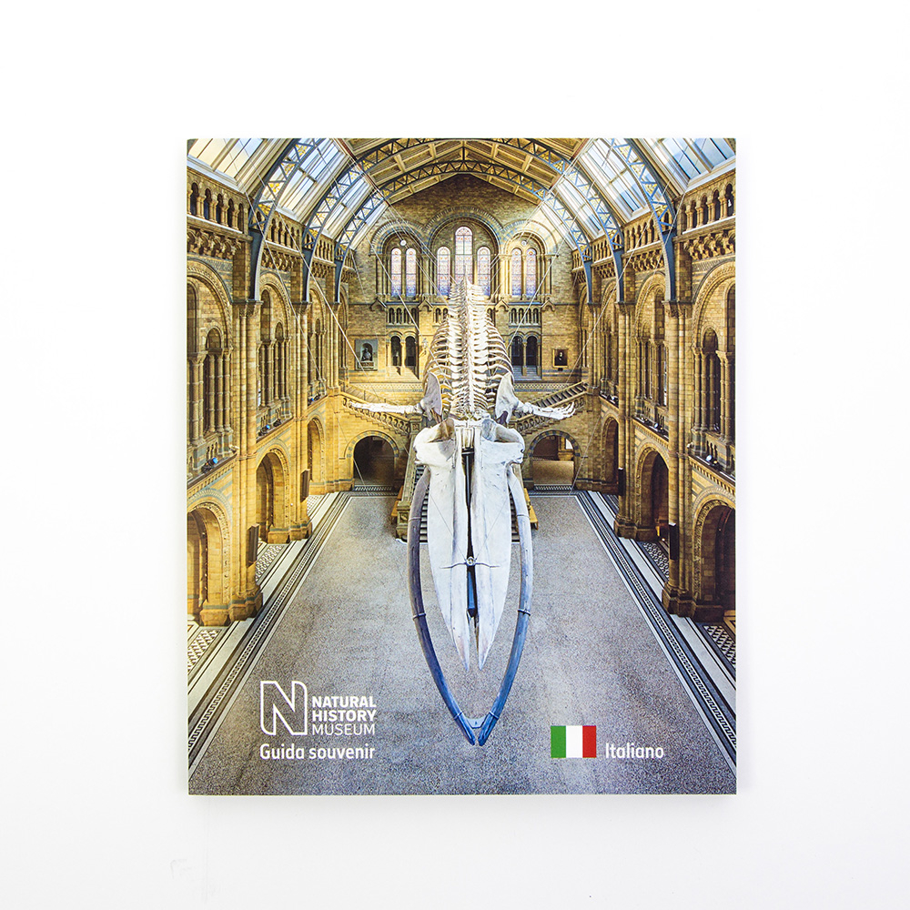 Natural History Museum guide book in Italian