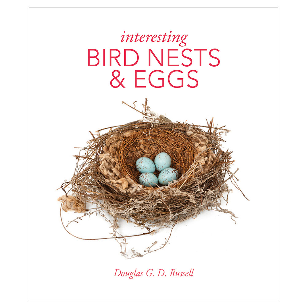 Interesting Bird Nests & Eggs