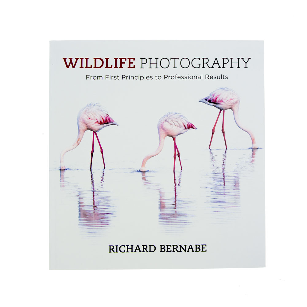 Wildlife Photography From First Principles To Professional Results