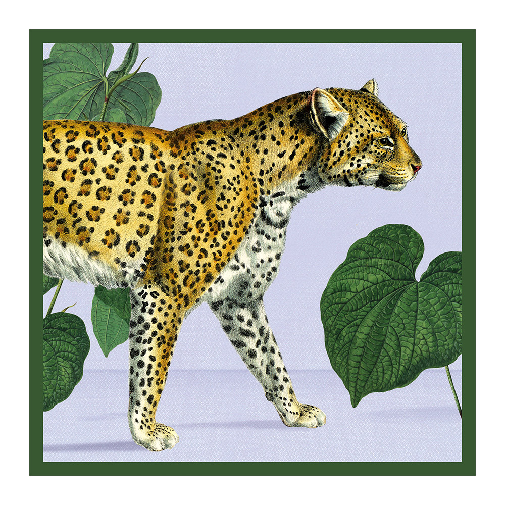 Leopard illustrated greetings card