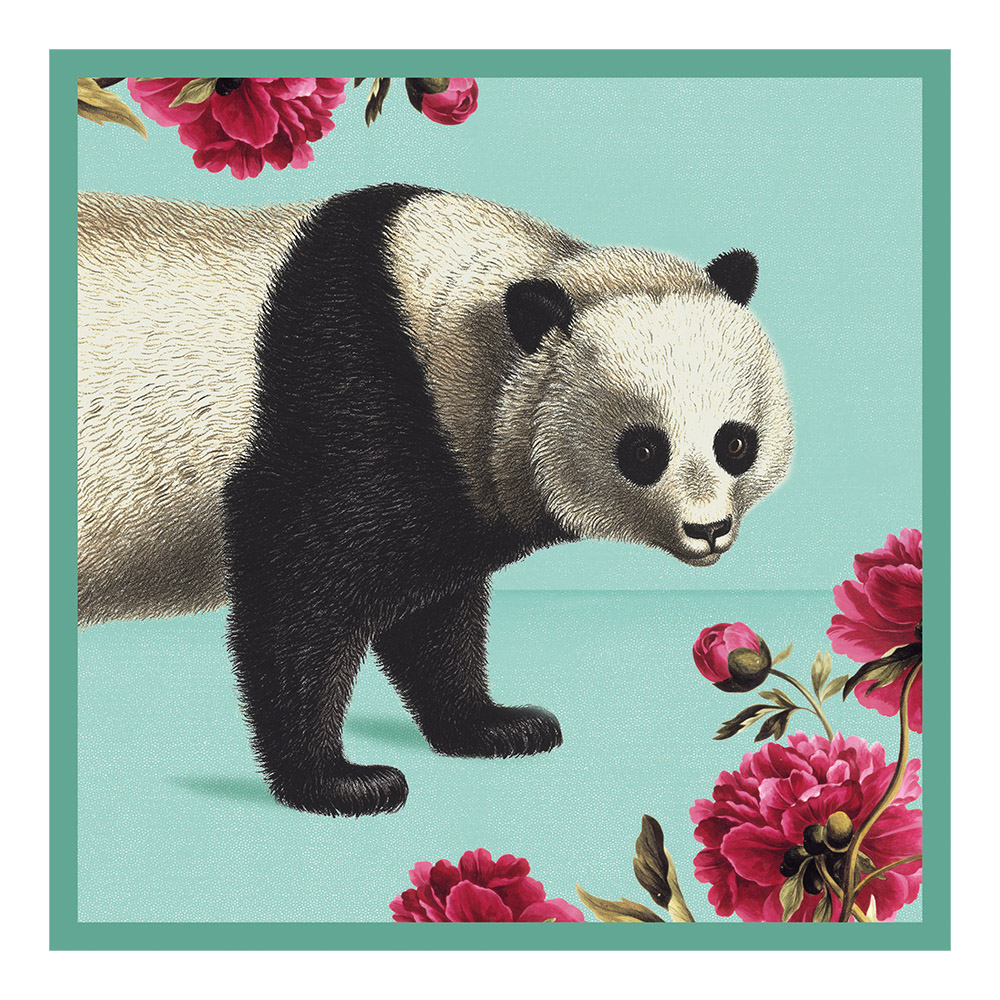Giant panda illustrated greetings card 