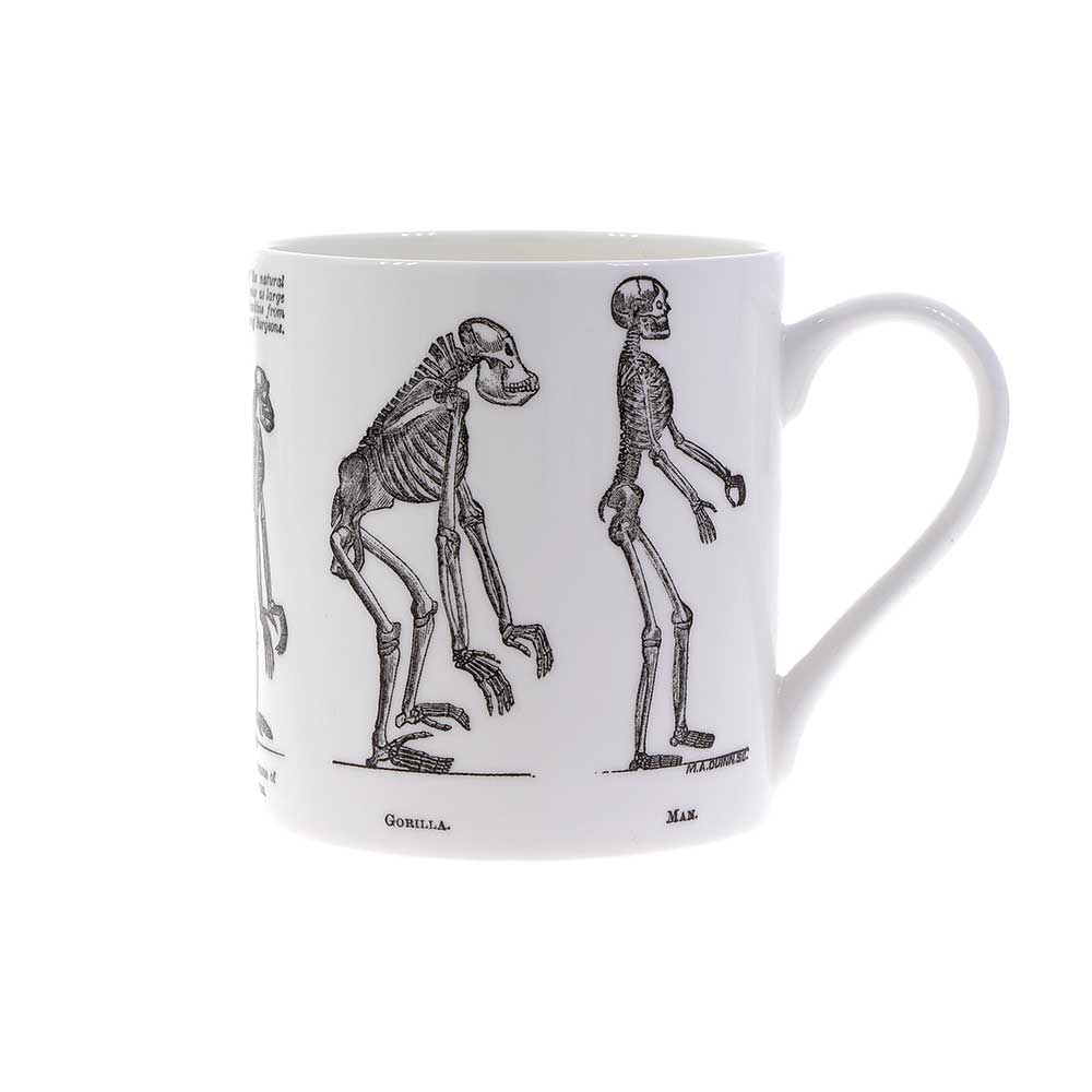 Thomas Huxley illustration bone china mug