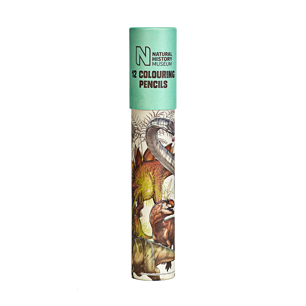 Dinosaur 12 Colouring Pencils