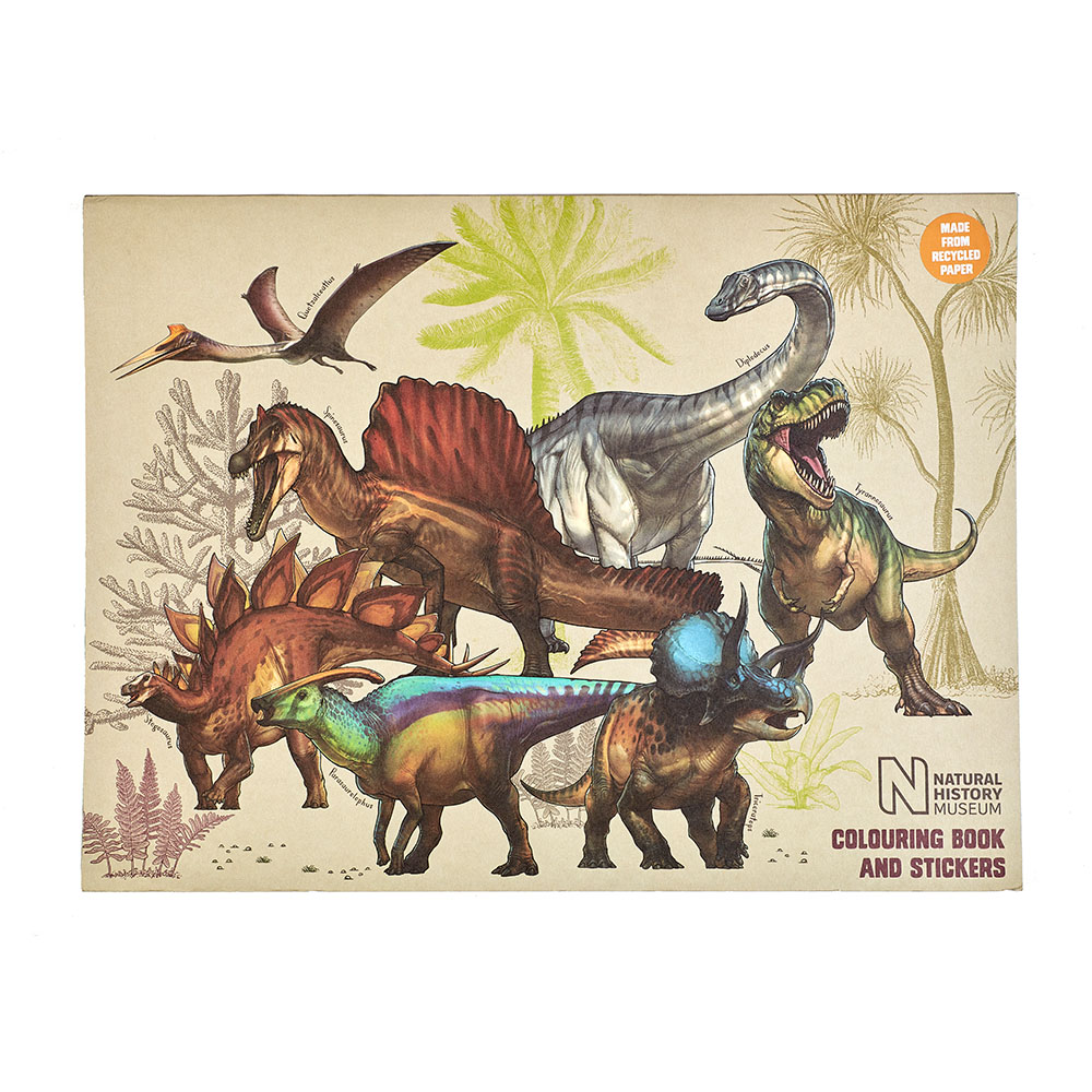 Dinosaur Colouring Book and Stickers