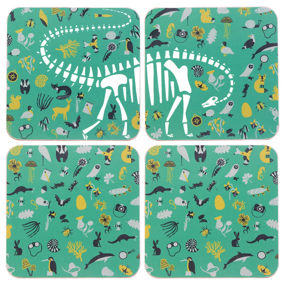 Dippy on Tour coasters