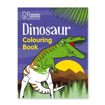 Dinosaur Colouring Book