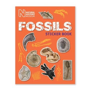 The orange front cover has pictures different fossils, such as shells, teeth and a skull.