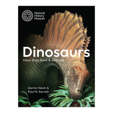 The front cover of Dinosaurs: How They Lived and Evolved has an illustration of a Amargasaurus with a spike-topped sail along its neck eating fern-like leaves.