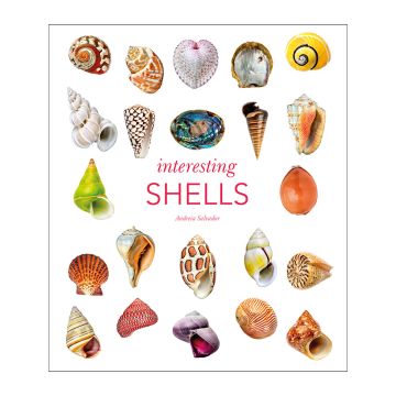 Front cover of Interesting Shells by Andreia Salvador 