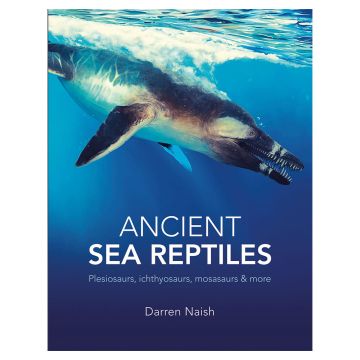 The front cover is an underwater image of an ancient reptile plunging beneath the surface into the deep blue sea. The title and author name are in white font below it.