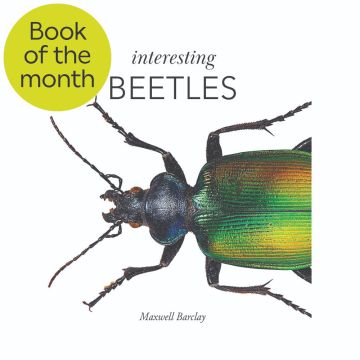 The front cover of Interesting Beetles has a close-up image of a beetle crawling across it, and a sticker with 'Book of the month' on it.