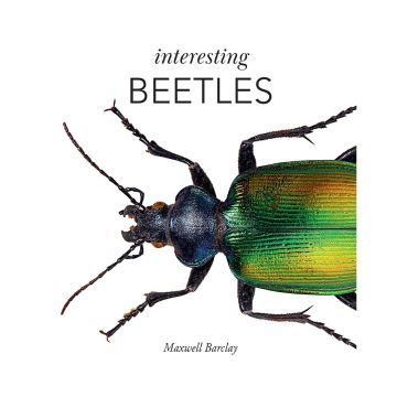 The front cover of Interesting Beetles has a close up image of a beetle crawling across the book from the right.