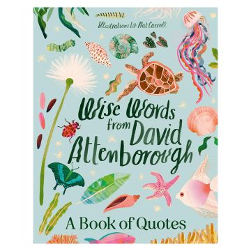 The front cover is pale green with the title and author name written in dark green wavy font. The words are surrounded by colourful illustrations of wildlife, including fish, shells, a turtle, leaves and a dandelion.