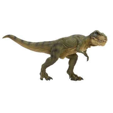 The T. rex model faces inwards. It is positioned with its head, spine and tail almost all in a horizontal line. Its jaws are closed and its legs are in a running pose.