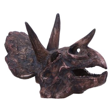 Right side view of the Triceratops Small Replica Skull.