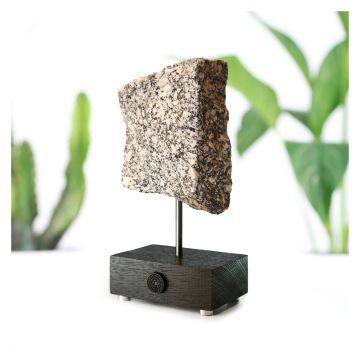 The specimen is displayed on a pole, which is fixed into a wooden block, embossed with the Museum logo. 