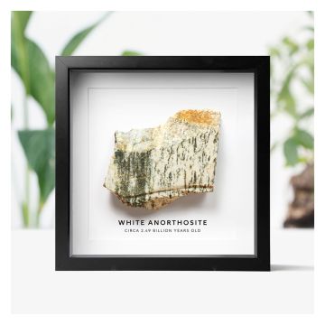 The specimen in its box frame. The words ‘White Anorthosite, circa 2.49 billion years old’ are printed below the rock. 