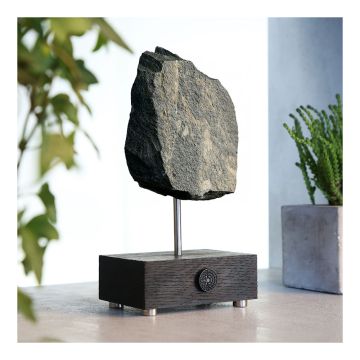 The specimen is displayed on a pole, which is fixed into a wooden block, embossed with the Museum logo. 