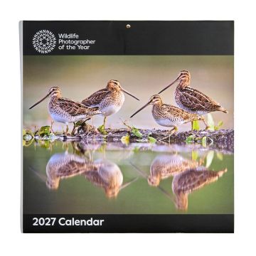 The front cover of the calendar is a colour photograph of four snipe birds with long thin beaks. They stand next to water, where their image is reflected.