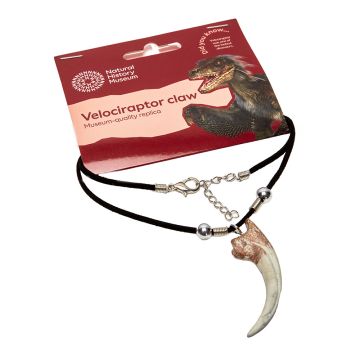 The claw pendant hangs on the black thread necklace and is displayed in its packaging, which has a picture of a Velociraptor on it.
