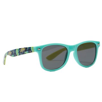 The sunglasses have a turquoise frame around the tinted lenses. The arms are illustrated with dinosaurs and pterosaurs.