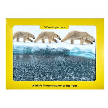 The front cover of the set of cards is a photograph of three polar bears walking on the ice in a line near the water’s edge.