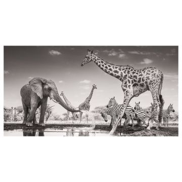 The print is a monochrome image of an elephant and giraffe at a watering hole, with zebras and more giraffes in the background.