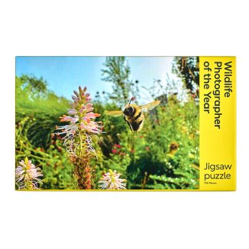 The front cover of the jigsaw packaging is a colour photo of a bumblebee flying near a conical-like flower in a sunny garden.