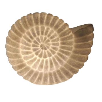 A side-on view of the Ammonite Shell Lamp, with the mouth (aperture) of the spiral facing upwards.