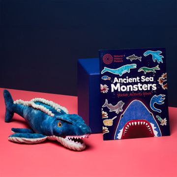 The contents of the Jurassic Oceans Bundle for Kids. The Mosasaurus Soft Toy is next to the Ancient Sea Monsters Sticker Activity Book.