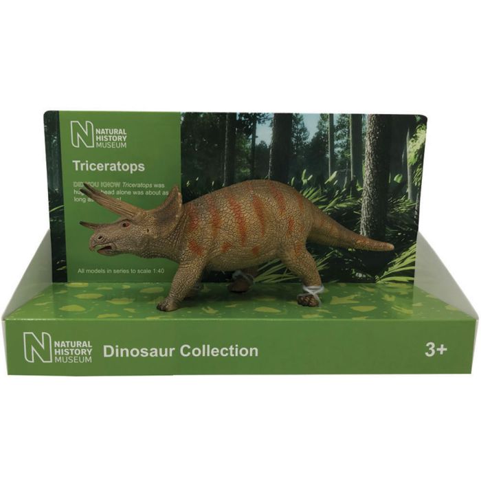Triceratops Model | Natural History Museum online shop
