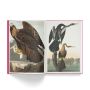 The Birds of America