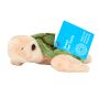 Side on view of the Small Green Sea Turtle Soft Toy with its label.