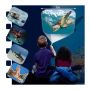Sea Creatures Torch and Projector with children projecting the turtle image