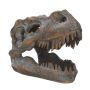 The T. rex Small Replica Skull shown at an angle so you can see its front and size.