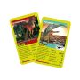 Two of the cards shown close up with images and fact files. They are for Archaeopteryx and Baryonyx. 
