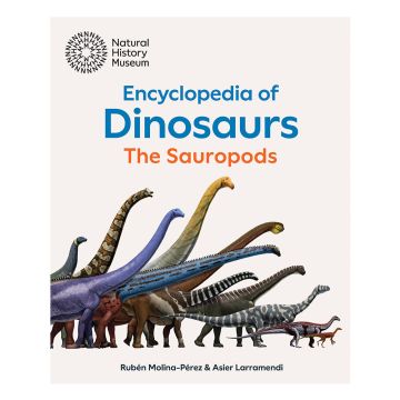 The white front cover has a row of different sized and different coloured sauropods, all facing to the right as if about to compete in a race. Above is the title of the book in blue and orange font.