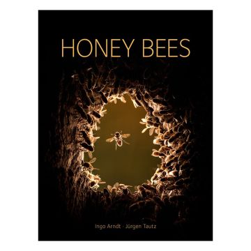 Honey Bees