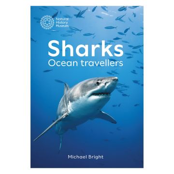 The front cover is an underwater colour photograph of a shark looking at the camera with its right eye. Surrounding the shark are thin, silvery fish, and the book title in white font above it.