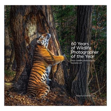 The front cover image is of a tiger which looks like it is hugging a tree trunk in a forest. It is on its hind legs rubbing its face against the bark which mimics the colouring of the tiger's coat. 