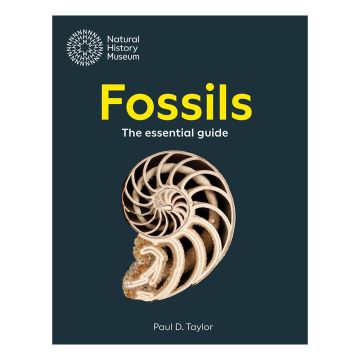 The front cover is dark blue with the word 'Fossils' in bold yellow font. Below it is the inside of an ear-shaped, spiral-patterned fossil.