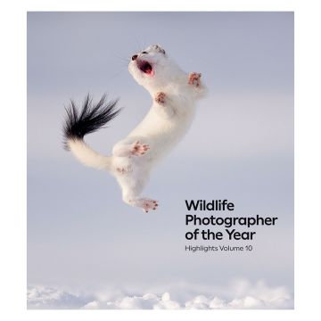 The front cover is a colour photograph taken in the French Alps by Jose Manuel Grandío. In the middle is a white-coloured stoat leaping above the crunchy snow on the ground and arching its body back to its tail.