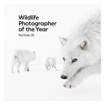 The front cover is an image by Amit Eshel with three Arctic wolves on the snow. One of them is close enough to the camera to see its amber eyes and clumps of snow on its nose.