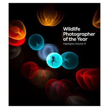 The front cover is black with red, blue and orange blurred bubbles. Inside one of the blue ones is an orb weaver spider. Image credit: ©Simone Baumeister.