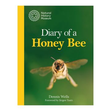 The front cover of Diary of a Honey Bee shows a close-up photograph of the face of a honey bee as if it was flying towards you.