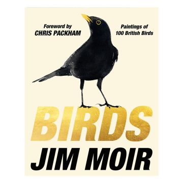 Front cover of Birds: Paintings of 100 British Birds showing an illustration of a blackbird.